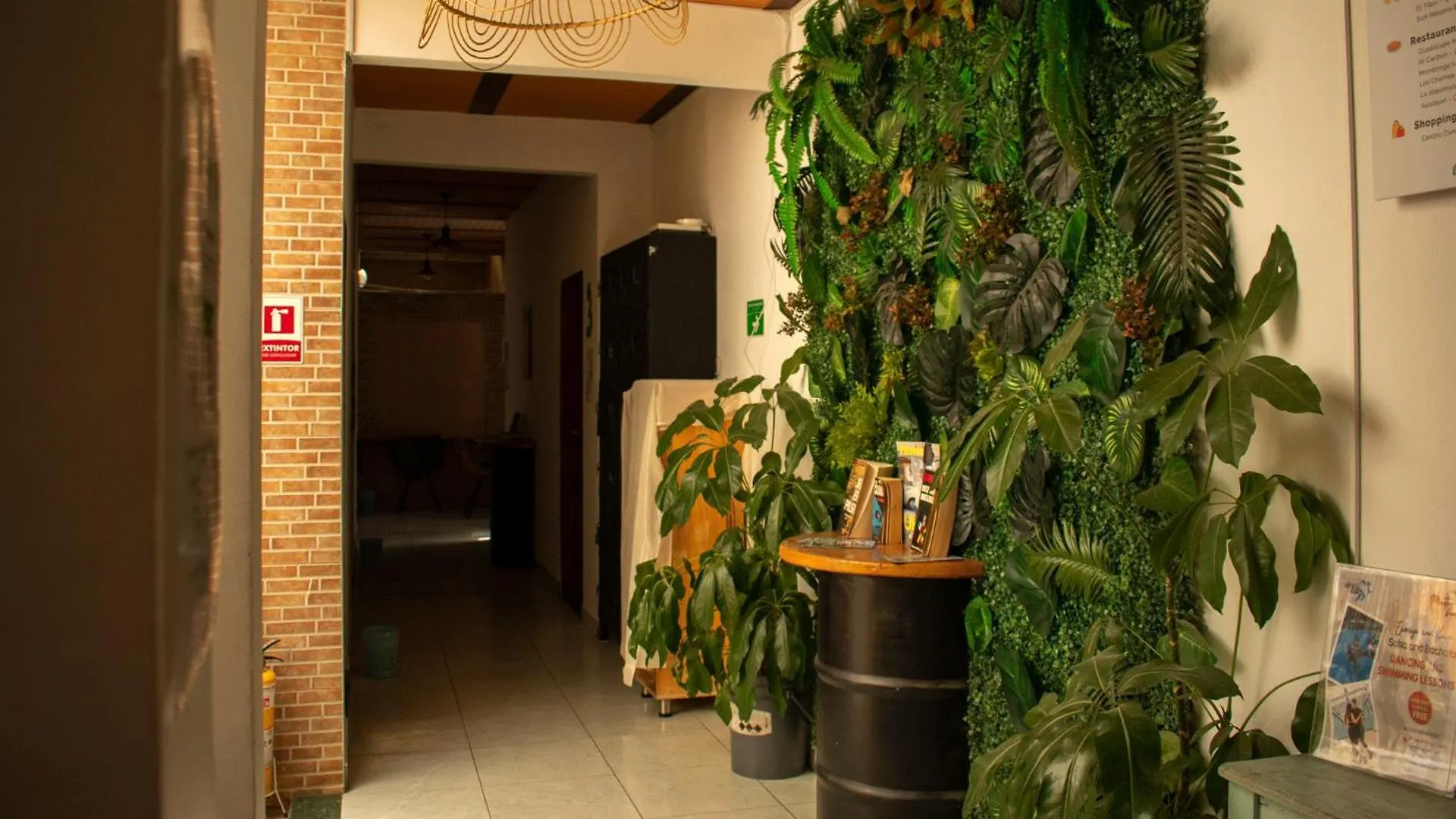 Oasis Hostel Medellin Colombia